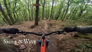 Wharncliffe Woods | Trail Diaries | Smile & Wave