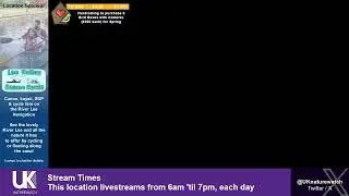 🔴 LIVE: Bird Feeder Buffet 🐦 Broxbourne Riverside Chalets | UK NatureWatch