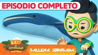 &iexcl;La ballena jorobada canta! 🎶 | Episodio completo | Leo, El Explorador | Animaci&oacute;n
