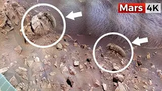 NASA Mars Rover Captures 4K 360&deg; Footage of Mars SOL 1540! Perseverance Rover: Stunning Mars In 4K