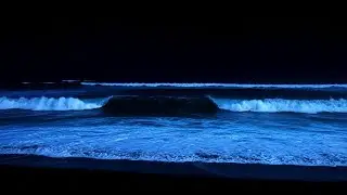 Zen Sleep: Ocean Sound for Rapid Eye Movement (REM)