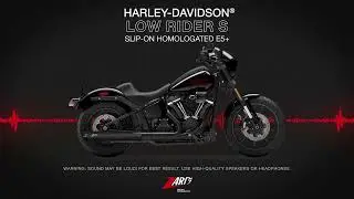 Zard for Harley Davidson Low Rider S | Sound Slip-on Homologated E5+