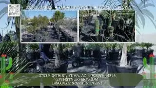 24th Street Nursery Products