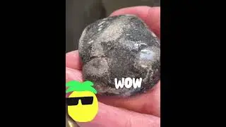 @KatSmith552 Fossils, Serpentine, Quartz Basalt, cool pudding stone  & more!