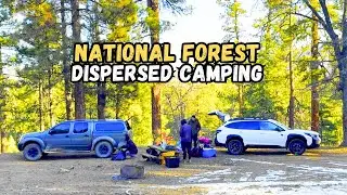 Dispersed Camping & Trout Fishing Adventure | Big Bear Lake