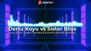 Deniz Koyu vs Sister Bliss - Tung Bitch (Breno Barreto & Rodolfo Bravat Bootleg