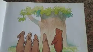 Scruffy Bear and the lost ball