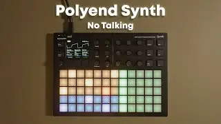 Polyend Synth From Scratch | Real-Time Music Creation