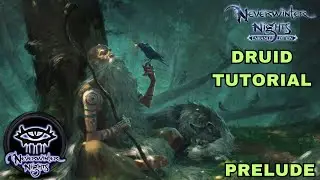 Neverwinter Nights: Enhanced Edition - druid tutorial (samouczek; wstęp)