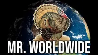 What Exactly is: Turkey | Natural History of the Thanksgiving Bird