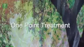 Ancient Remedies: Treatment for Sluggish Digestion | One Point Treatment