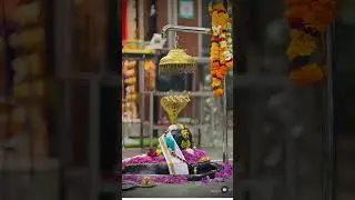 baba 🕉️💫📿#shortvideo##love##baba##song#trending#shortsfeed#viralvideo#viral#ytshorts#viralshorts#