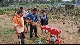 Machine for  Paddy straw cutting to cultivate Oyster Mushroom