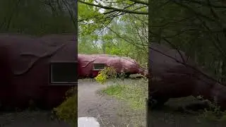 Отель кишка в Бельгии #belgium