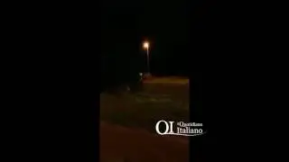 Bari, corsa tra auto e cinghiali al San Paolo
