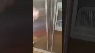 Sub-Zero Refrigerator Drain Service Model BI-48SD #AtlantaCityApplianceRepair