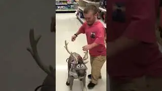 What can dwarfs fit in