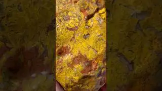 Jasper / Jaspagate hunting central valley California #rockhounding