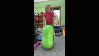 Overview of basic (inexpensive) K9 fitness equipment