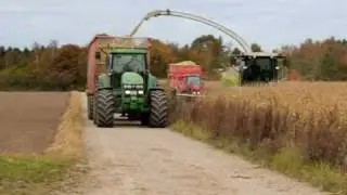 Majsh&oslash;st p&aring; Nygaard i Trustrup 17. oktober 2010 - Corn harvest!
