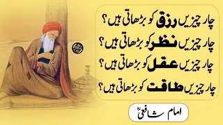 Imam shafi Quotes In Urdu | 4 Chezen Aqal, Nazar , Rizaq Aur Taqt Ko Baharti Hain | ilam ky Mooti