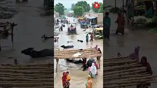 Flooded Village Market | Tractor and People Struggling in Water. #viral #floodinpakistan #shorts