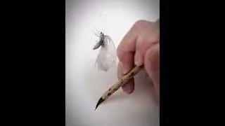 Traditional Chinese Ink painting butterfly liusheng #art