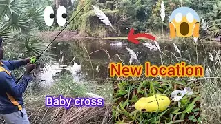 #frog fishing  ⭕💢 மதியம் கடும்🌞 வெயிலில் 🚀😱ராக்கெட் வேகத்தில் பிடித்த நாட்டு விரால் மீன்கள் 🐟🎣