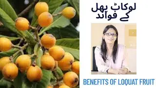 Loquat Fruit Benefits You Never Knew | Boost Immunity, Lose Weight, Clear Skin