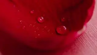 Relaxing Piano Music - Splendida Musica Rilassante, Musica Per Dormire, Allevia Lo Stress