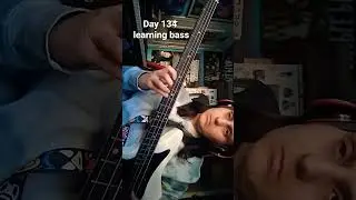 Day 134 learning bass #bass #journey #learning #bassguitar #learningbass #bassjourney #learningbass