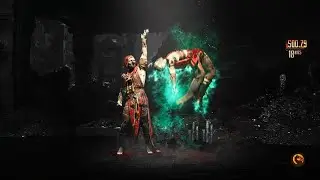 MK1 Ermac 50% Janet Cage combo into brutality