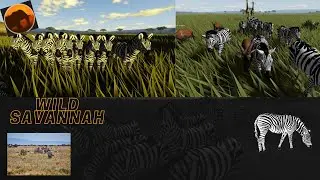 Galloping With Grace: The Majestic Zebra Herd | Wild Savannah |