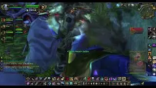 WoW WotLK Hunter Battleground PvP Gameplay Warsong Gulch #39