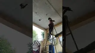 Wall putty first coat full vlog simple 