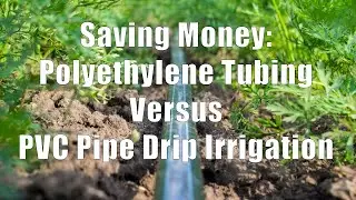 Saving Money: Polyethylene Tubing Versus PVC Pipe Drip Irrigation (DiTuro Productions, LLC)