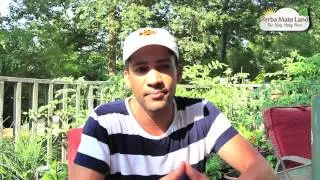 Yerba Mate Tea Helps You Lucid Dream