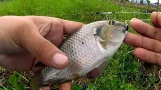Binalikan namin Ang fishing spot sa Calamba..pero medyo malakas ang alon.