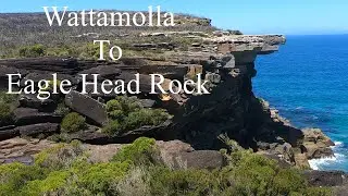 Walk & Talk - Episode 52 - Wattamolla To Eagle Head Rock