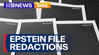 Possible impeachment over the release of the Epstein files | 9 News Australia