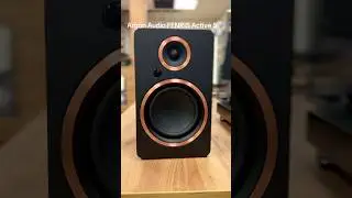 Argon Audio FENRIS Active 5
