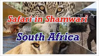 Safari in Shamwari Game Reserve, South Africa.  Incredible wildlife