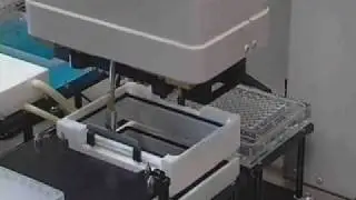 Biomek FX Two Plate Plasmid Elution