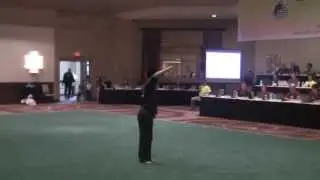 2013 US Wushu Team Trials - Phillip Dang - Spear