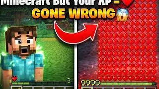 Minecraft but XP is your Heart (2)