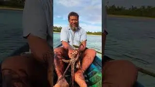 Dying art of catching octopus in the Pacific #nomuka #pacific #travel #tonga #octopus #sea