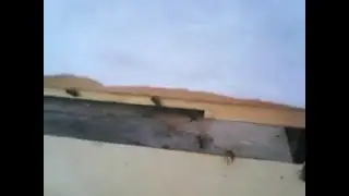 video0124