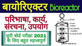 बायोरिएक्टर | bioreactor in hindi | bioreactors in biotechnology | bioreactor class 12 biology