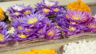 Explore the Things to do in Kandy