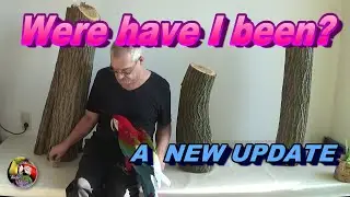 Were have I been? - A NEW UPDATE